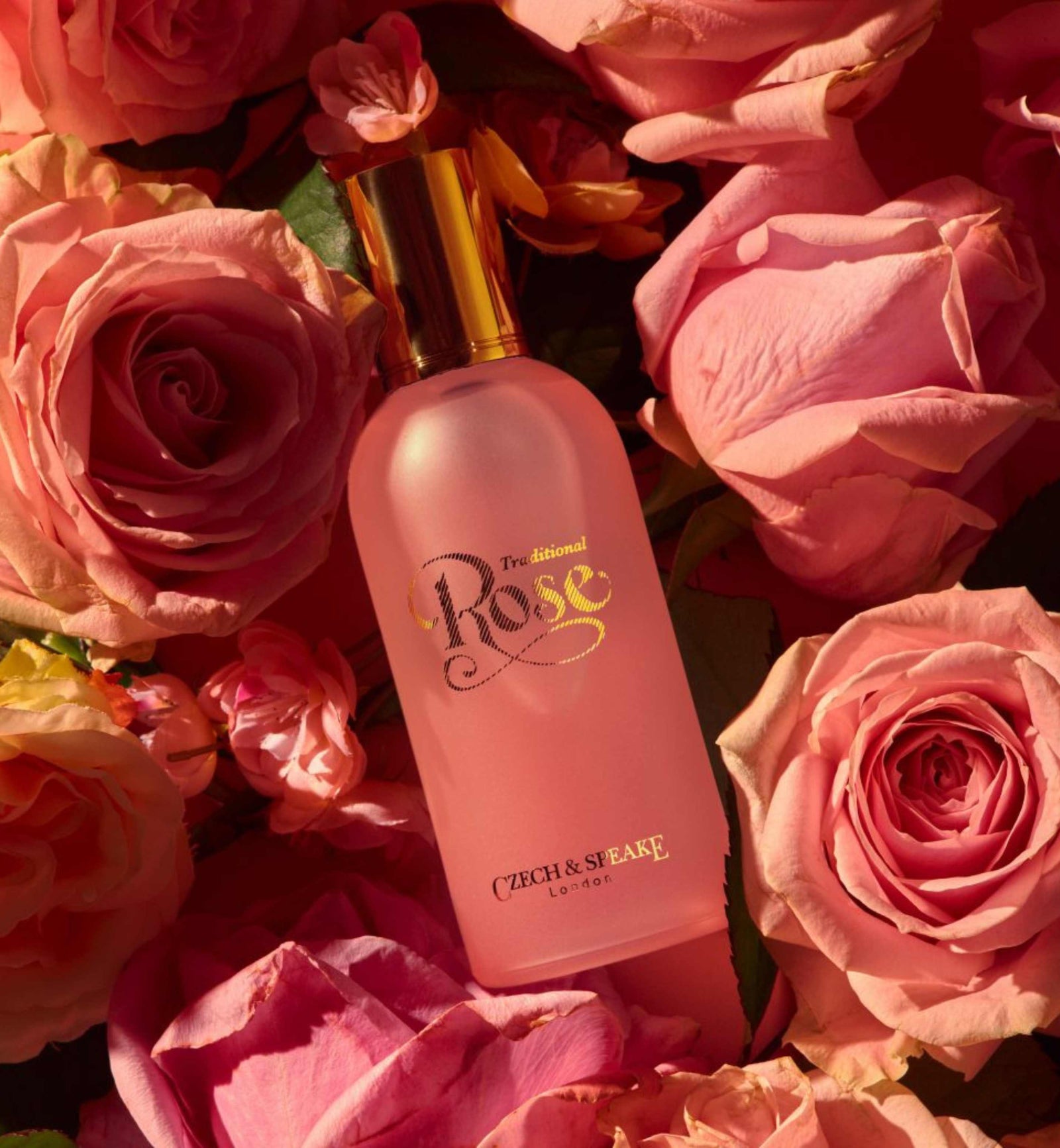 Czech & Speake Rose Eau De Parfum Spray 100ml – Mr.Start