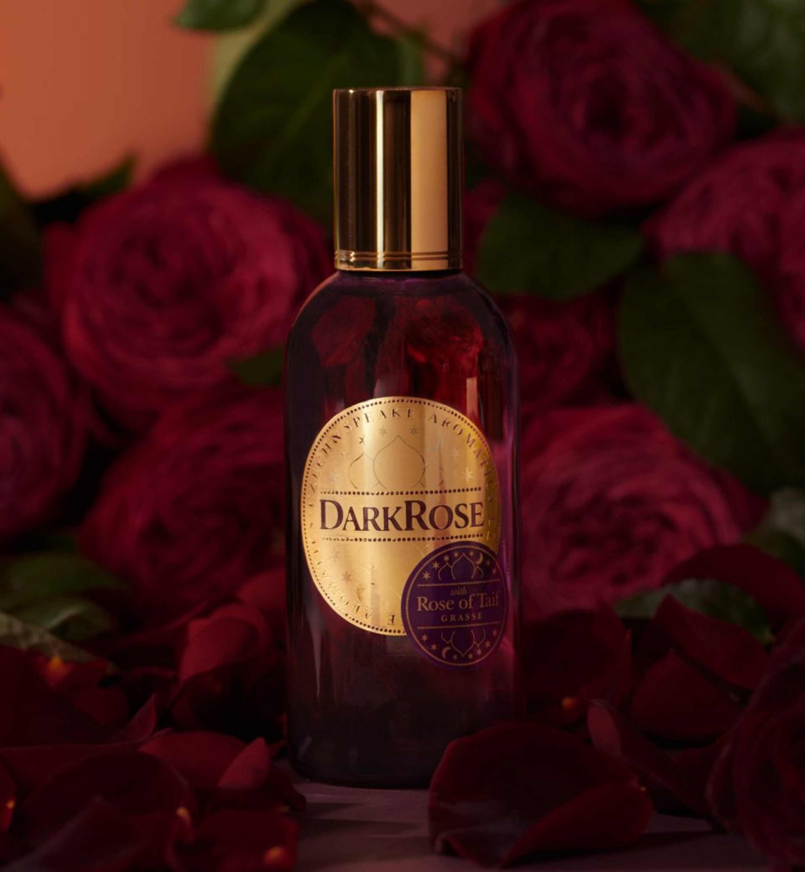 Czech Speake Dark Rose Eau De Parfum Spray 100ml –